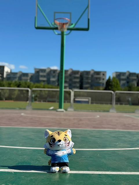20240625_134227_055.png