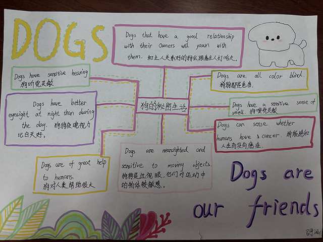 回龙观校区初一年级英语学科综合实践活动（照片+视频）_照片_IMG_2907.png