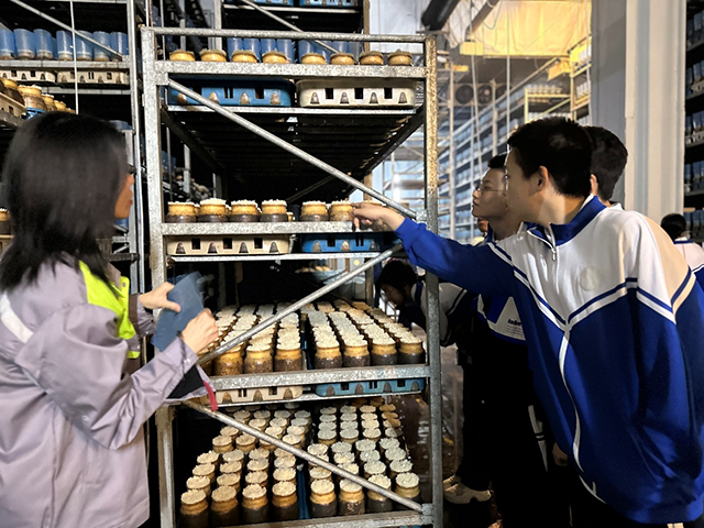 高二香山实践活动_图片14.png