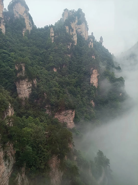 途中_20250612_210301_047.png