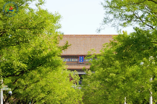 新疆班北京研学第二期_20250612_225406_125.png