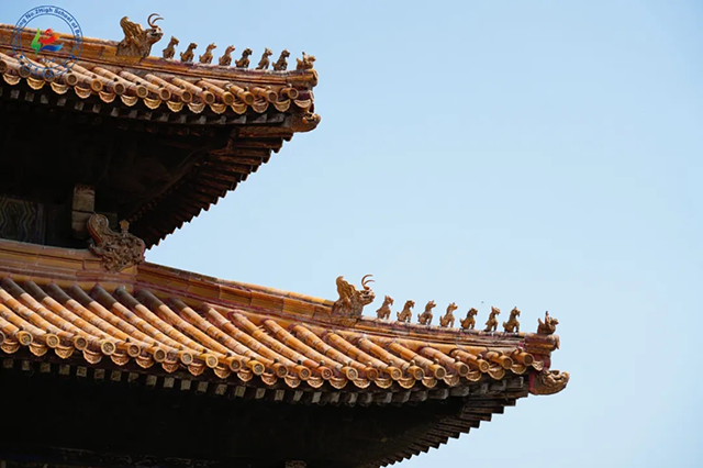 新疆班北京研学第二期_20250612_225406_124.png