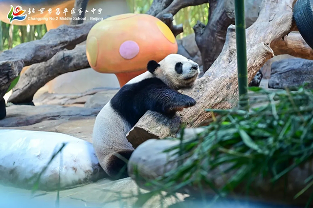 归程_20250612_233437_141.png