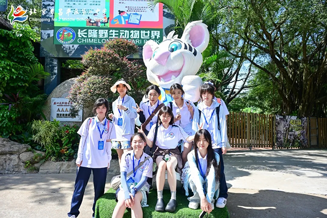 归程_20250612_233437_152.png