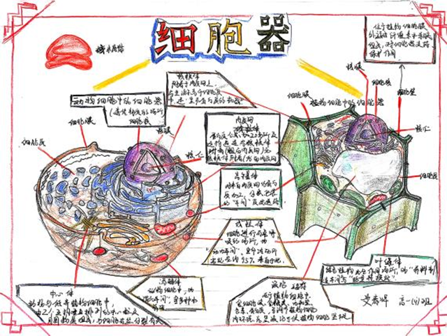 细胞模型官微宣传_图片15.png