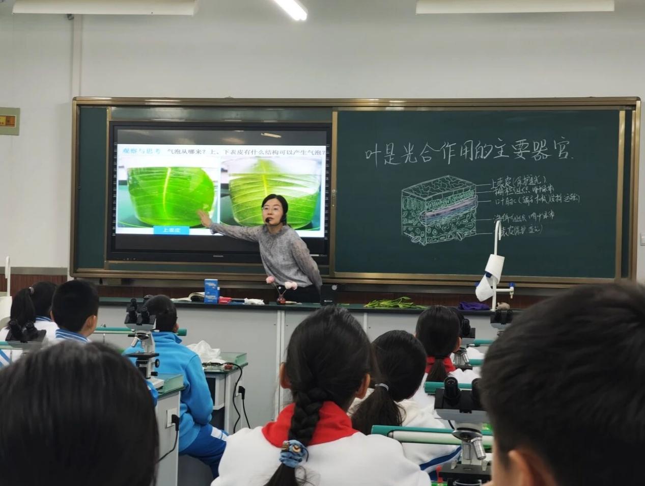 56eec3a3c57034998850b21260d5c40b