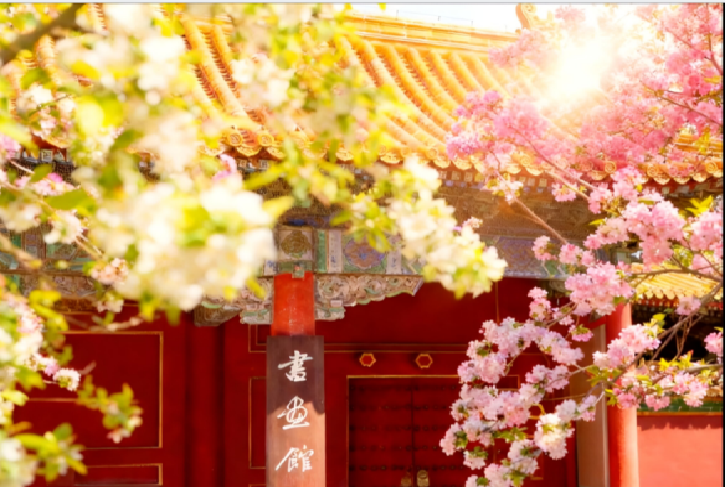 9e0645e5be22d6408069e2c685462120